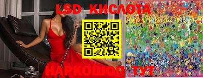 mdpv Гусев