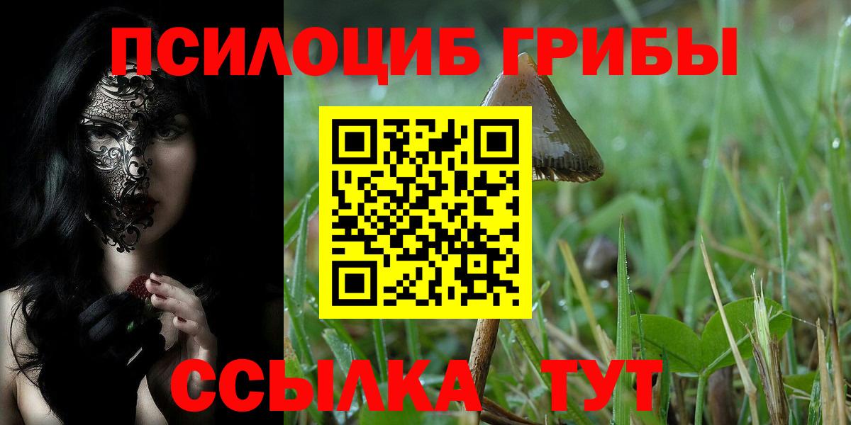 Галлюциногенные грибы Psilocybine cubensis Арзамас