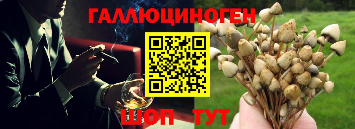 Псилоцибиновые грибы Psilocybine cubensis  Вход с VPN  как найти   Арзамас 